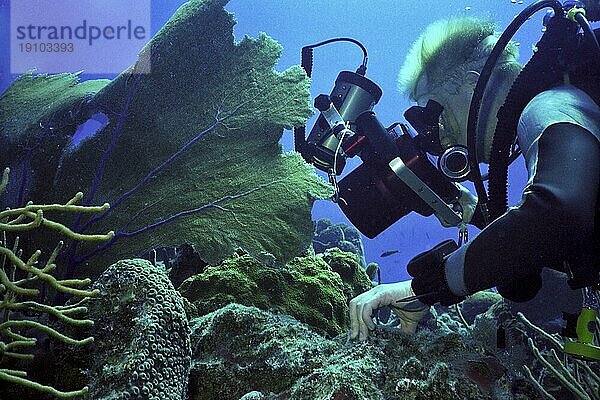 Unterwasserfotograf  Cayo Largo Cuba