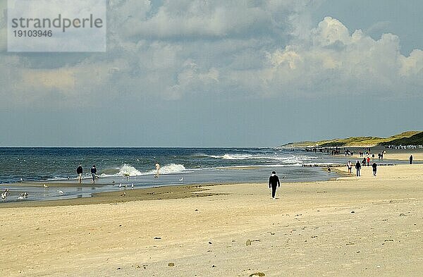 Nordsee Küste auf Sylt