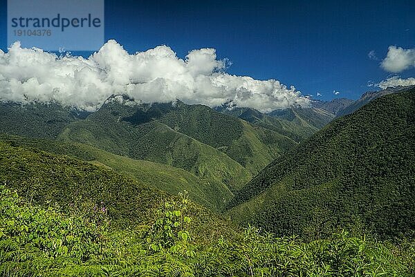 Malerisches grünes Tal in den Anden in Bolivien auf dem Choro Trek