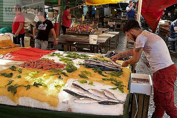 Fischtheke  Fischverkäufer drapiert Fische  Märkte  unter freiem Himmel  Palermo  Hauptstadt  Sizilien  Italien  Europa