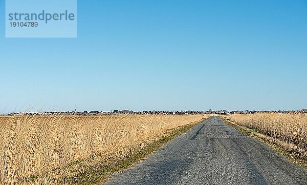 Landwirtschaftlicher Feldweg auf der Nordseeinsel Sylt