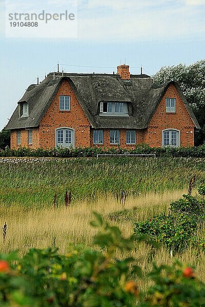 Reetdachhaus an der Ostküste von Sylt