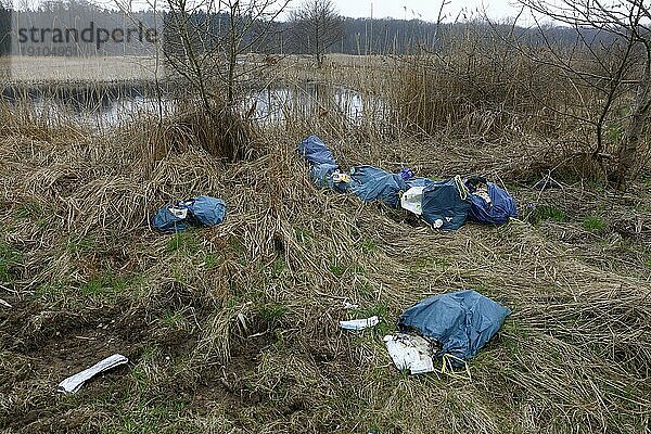 Illegal deponierter Müll in Plastiksäcken  Umweltmüll  Naturpark Flusslandschaft Peenetal  Mecklenburg-Vorpommern  Deutschland  Europa