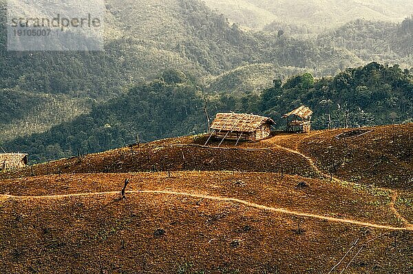 Traditionelle Stammessiedlung in einer abgelegenen Region von Nagaland  Indien  Asien