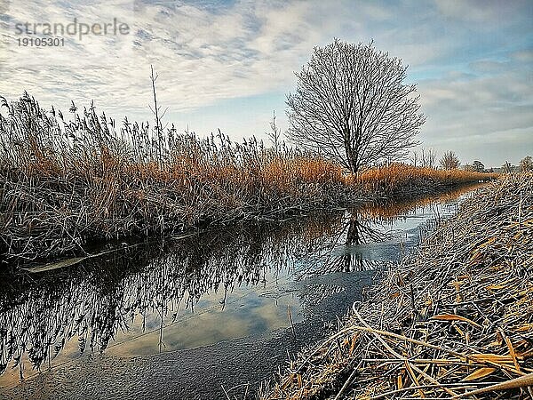 Kleiner Kanal in brandenburgischer Landschaft  Deutschland  Europa