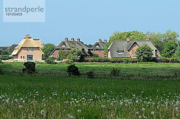 Reetdachhaus in Schleswig Holstein