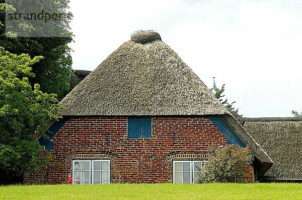 Reetdachhaus hinterm Deich