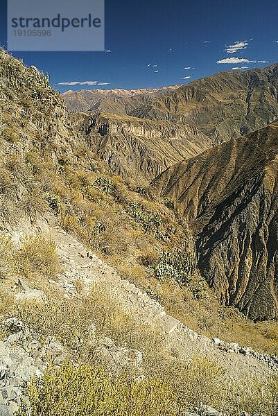 Malerischer Blick auf die trockene Landschaft um den Canon del Colca  ein berühmtes Touristenziel in Peru