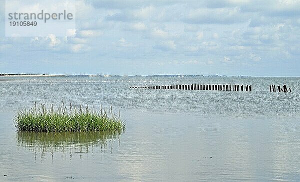 Wattenmeer an der Ostküste von Sylt