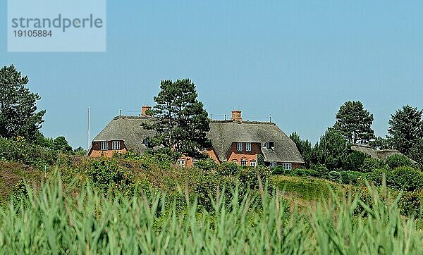 Reetdachhaus am Wattenmeer