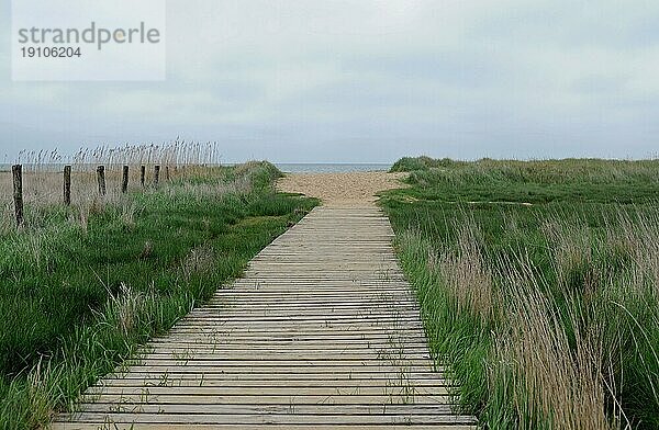 Holzbohlenweg an die Ostküste der Insel Sylt