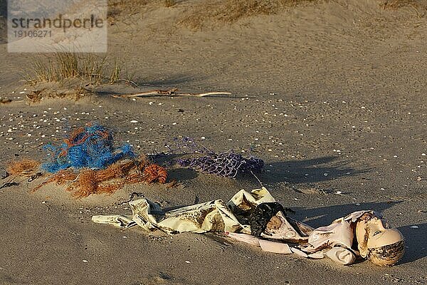 Sytematische Erfassung von Strandmüll auf einer unbewohnten Insel der Nordsee  Strandmüll  Minsener Oog  Niedersachsen  Deutschland  Europa