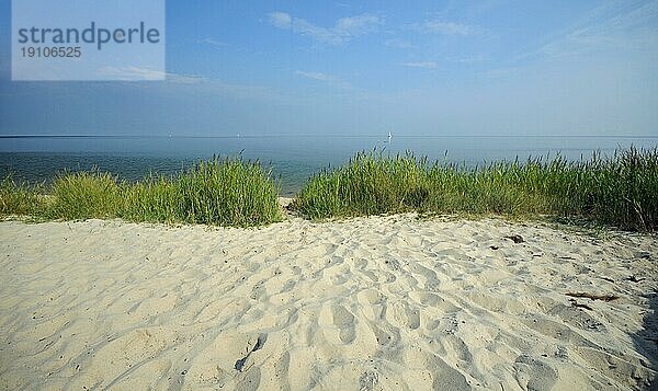 Wattenmeer an der Ostküste von Sylt