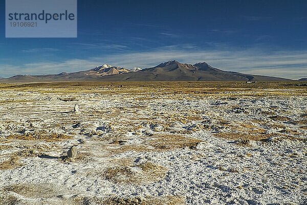 Malerischer Blick auf den bolivianischen Sajama Nationalpark und einige seiner höchsten Gipfel