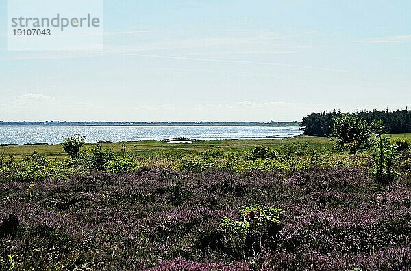 Munkmarsch an der Ostküste von Sylt