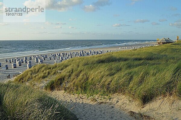 Nordseeküste bei Kampen