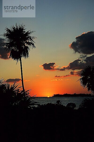 Palmen als Silhouetten im Sonnenuntergang  Cayo Largo Cuba