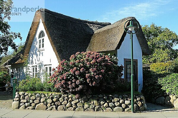 Friesenhaus mit Friesenwall