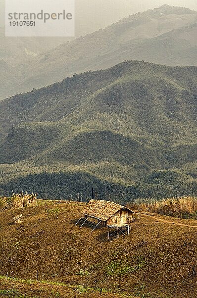 Traditionelle Stammessiedlung in einer abgelegenen Region von Nagaland  Indien  Asien