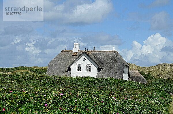 Reetdachhaus auf Sylt