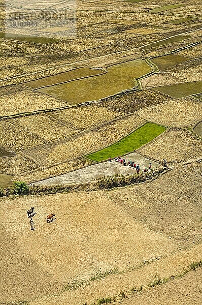 Luftaufnahme der traditionellen Landwirtschaft in Nepal