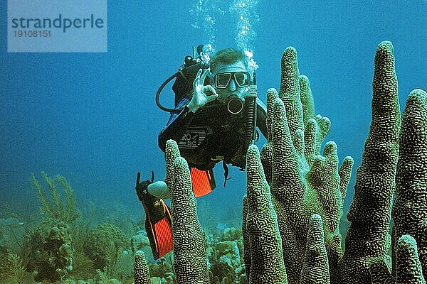 Taucher vor Koralle  Cayo Largo Cuba