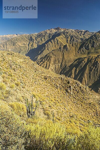 Aussicht auf den Canon del Colca  ein berühmtes Touristenziel in Peru