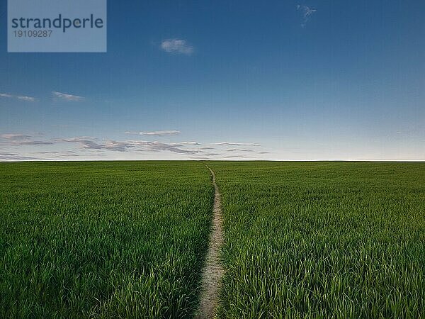 Schmaler Fußweg  der ein wachsendes Weizenfeld durchdringt. Malerische Naturlandschaft  ländliche Szene mit einem Weg über das grüne Grasland. Friedliche ländliche Aussicht  Reise in die Natur
