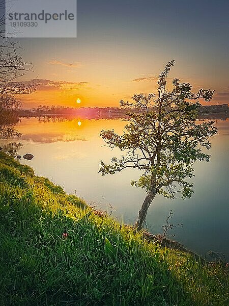Sonnenuntergangsszene am See mit einem einzelnen Baum auf dem Hügel. Vibrant Sonnenuntergang reflektiert in den Teich ruhig Wasser