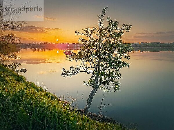 Sonnenuntergang Szene am See mit einem einzelnen Baum am Ufer. Lebendiger Sonnenuntergang  der sich im ruhigen Wasser des Teiches spiegelt. Idyllische Frühlingslandschaft