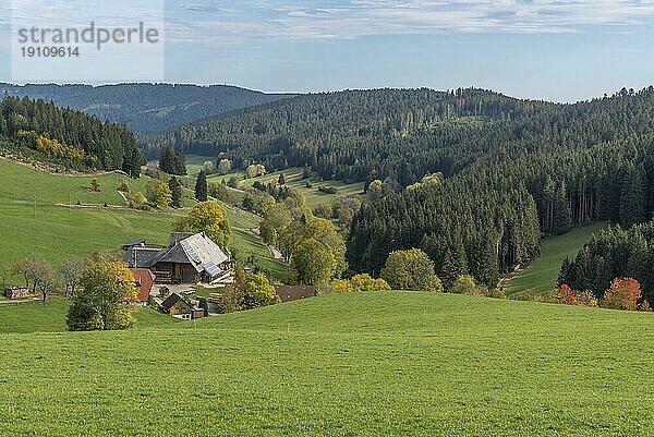 Bauernhof im herbstlichen Jostal  Titisee-Neustadt  Schwarzwald  Baden-Württemberg  Deutschland  Europa