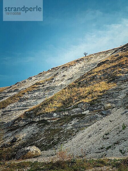 Idyllische Landschaft mit Blick auf einen kahlen und einsamen Baum auf dem Gipfel der Karstkalksteinhügel bei Orheiul Vechi  dem alten Orhei Komplex  in der Nähe des Dorfes Trebujeni  Moldawien. Herbst Saison natürliche Landschaft