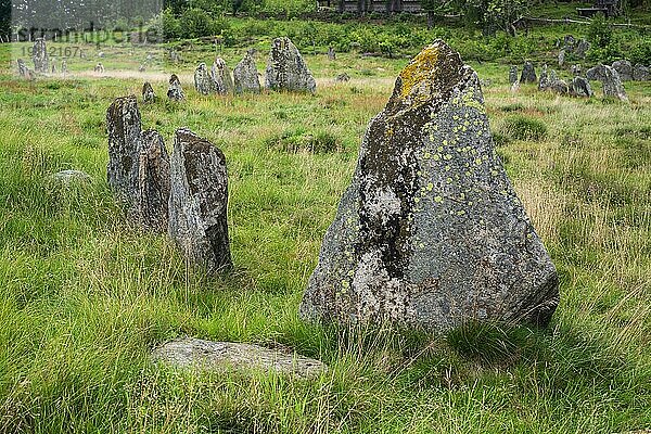 Skandinaviens größtes Gräberfeld aus der späten Eisenzeit  400 bis 900 n. Chr.  in Vätteryd  Gemeinde Hässleholm  Schonen  Schweden  Skandinavien  Europa