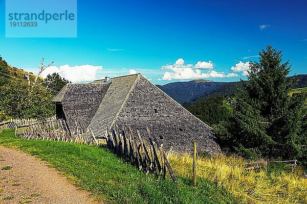 Bauernmuseum Schniederlihof  typisches Schauinslandhaus  erbaut 1593  im Hintergrund der Feldberg  Hofsgrund  Oberried  Schauinsland  Schwarzwald  Baden-Württemberg  Deutschland  Europa