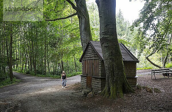 Wanderin am Kreuzweg zur Holzkapelle Lugenz  Bad Birnbach  Niederbayerische Bäderdreieck  Landkreis Rottal Inn  Niederbayern  Deutschland  Europa