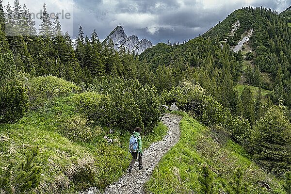 Bergsteigerin auf einem Wanderweg im Rotwandgebiet  hinten felsige Gipfel der Ruchenköpfe  Mangfallgebirge  Bayern  Deutschland  Europa