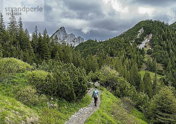 Bergsteigerin auf einem Wanderweg im Rotwandgebiet  hinten felsige Gipfel der Ruchenköpfe  Mangfallgebirge  Bayern  Deutschland  Europa