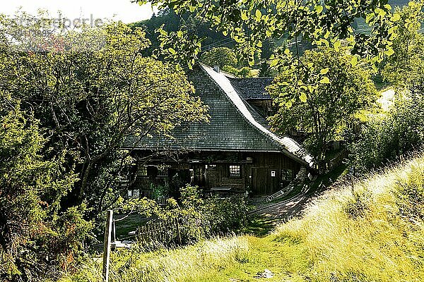 Bauernmuseum Schniederlihof  typisches Schauinslandhaus  erbaut 1593  Hofsgrund  Oberried  Schauinsland  Schwarzwald  Baden-Württemberg  Deutschland  Europa