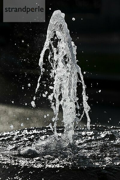 Kochbrunnenspringer im Gegenlicht  springende heiße Natrium-Chlorid-Thermalquelle  Kochbrunnenplatz  Wiesbaden  Hessen  Deutschland  Europa