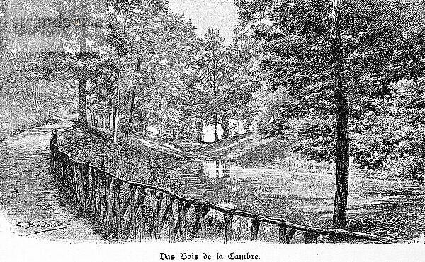 Bois de la Cambre  Brüssel  Stadtwald  Forst  Weg  Holzzaun  Bach  Bäume  Ruhe  Idylle  Hauptstadt  Belgien  historische Illustration um 1897  Europa