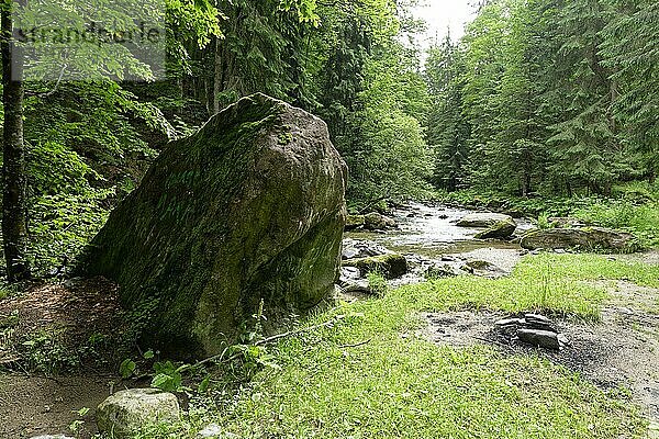 Landschaft am Jiet Bach  einem Gebirgsbach im Fagaras Gebirge  auch Fogarascher Gebirge  in den südlichen Karpaten. Kreis Eisenmarkt  Rumänien  Südosteuropa  Europa