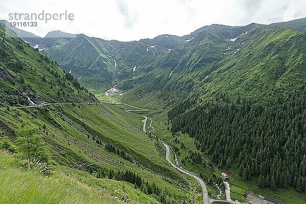 Serpentinen im Verlauf der Transfagara  der Transfogarascher Hochstraße im Fagaras Gebirge  auch Fogarascher Gebirge  in der Gebirgsgruppe der südlichen Karpaten. Arges  Rumänien  Südosteuropa  Europa