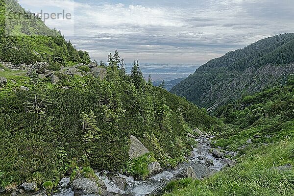 Felsige Landschaft am oberen Verlauf des Balea Baches im Fagaras Gebirge  auch Fogarascher Gebirge  in der Gebirgsgruppe der südlichen Karpaten. Hermannstadt  Rumänien  Südosteuropa  Europa