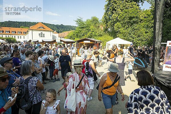 Elbhangfest 2022  Impressionen in Pillnitz  TAM TAM  Combony