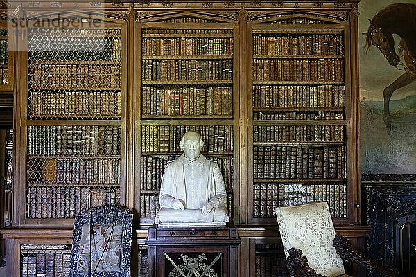 Innenansicht  Büste  Buch  Library  Abbotsford House  Melrose  Scotland  Großbritannien  Europa