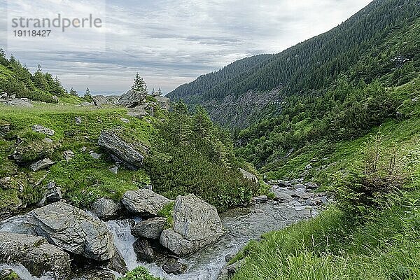 Felsige Landschaft am oberen Verlauf des Balea Baches im Fagaras Gebirge  auch Fogarascher Gebirge  in der Gebirgsgruppe der südlichen Karpaten. Hermannstadt  Rumänien  Südosteuropa  Europa