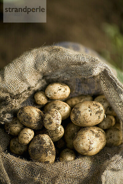 Nahaufnahme eines Sacks mit neuen Kartoffeln