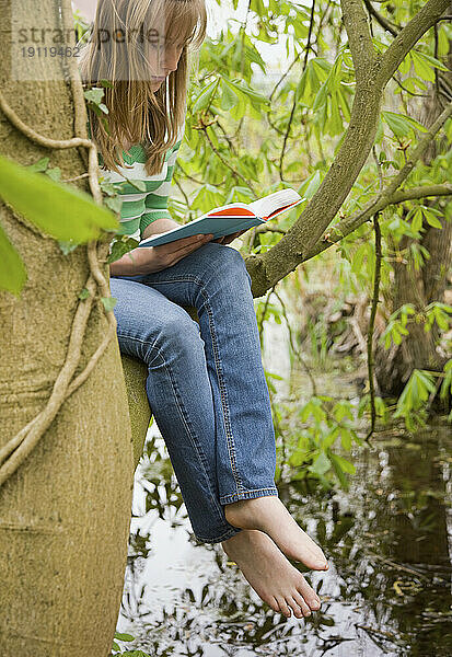 Teenager-Mädchen sitzt auf einem Ast eines Baumes und liest ein Buch