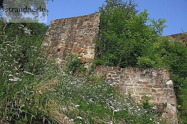 Teilansicht der Burg Neufelsberg auch Teufelsburg genannt in Felsberg im Saarland  Hintergrund blaür Himmel