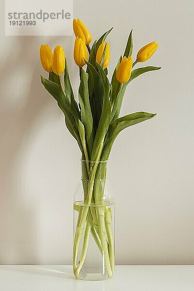 Vorderansicht Blumenstrauß Tulpen Vase